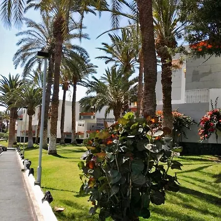 Primavera Tenerife Apartment Costa Del Silencio