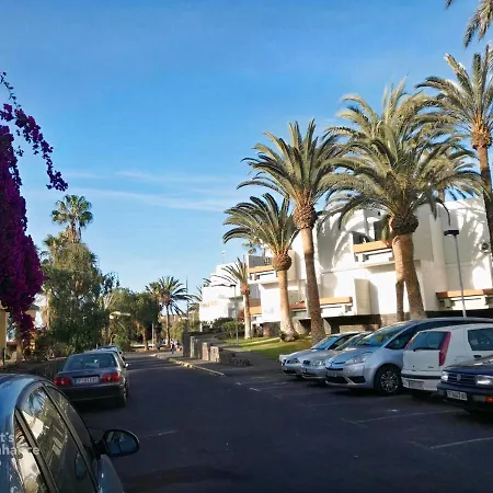 Primavera Tenerife * Costa Del Silencio